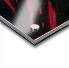 2507 8K Acrylic print