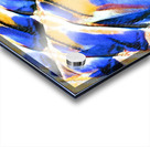 2512 8K Acrylic print