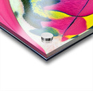 2551 8K Acrylic print