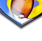 2522 8K Acrylic print