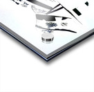 2591 8K Acrylic print