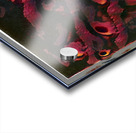 2596 8K Acrylic print