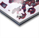 2587 8K Acrylic print