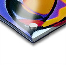 2583 8K Acrylic print