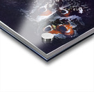 2567 8K Acrylic print