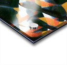 2629 8K Acrylic print