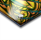 2616 8K Acrylic print