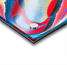 2621 8K Acrylic print