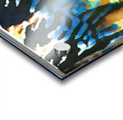 2604 8K Acrylic print