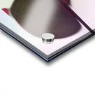 2655 8K Acrylic print