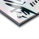 2642 8K Acrylic print