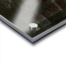 2699 8K Acrylic print