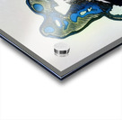 2686 8K Acrylic print