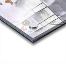 2711 8K Acrylic print