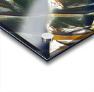 2749 8K Acrylic print