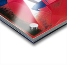 2738 8K Acrylic print