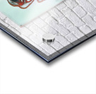 2782 8K Acrylic print