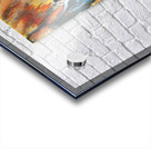 2774 8K Acrylic print