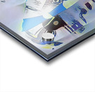 2762 8K Acrylic print