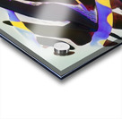 2784 8K Acrylic print