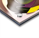 2764 8K Acrylic print