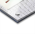 2799 8K Acrylic print