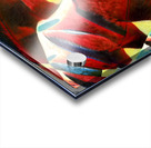 2839 8K Acrylic print