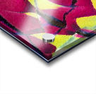 2833 8K Acrylic print