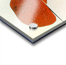 2820 8K Acrylic print