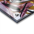 2821 8K Acrylic print