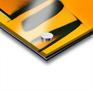 2815 8K Acrylic print