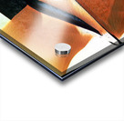 2860 8K Acrylic print