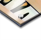 2877 8K Acrylic print