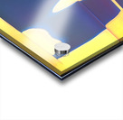 2846 8K Acrylic print