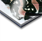 2865 8K Acrylic print