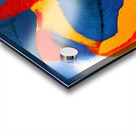 2908 8K Acrylic print