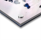 2907 8K Acrylic print