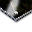 2902 8K Acrylic print