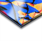 2911 8K Acrylic print