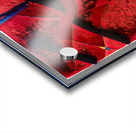 2893 8K Acrylic print