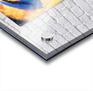 2892 8K Acrylic print