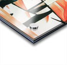 2885 8K Acrylic print