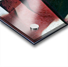 2898 8K Acrylic print