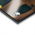 2959 8K Acrylic print