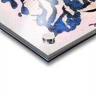 2933 8K Acrylic print