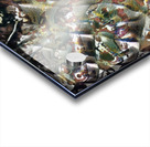 2931 8K Acrylic print