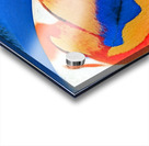 2955 8K Acrylic print