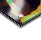 2924 8K Acrylic print