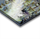 2937 8K Acrylic print