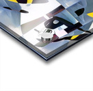 2990 8K Acrylic print